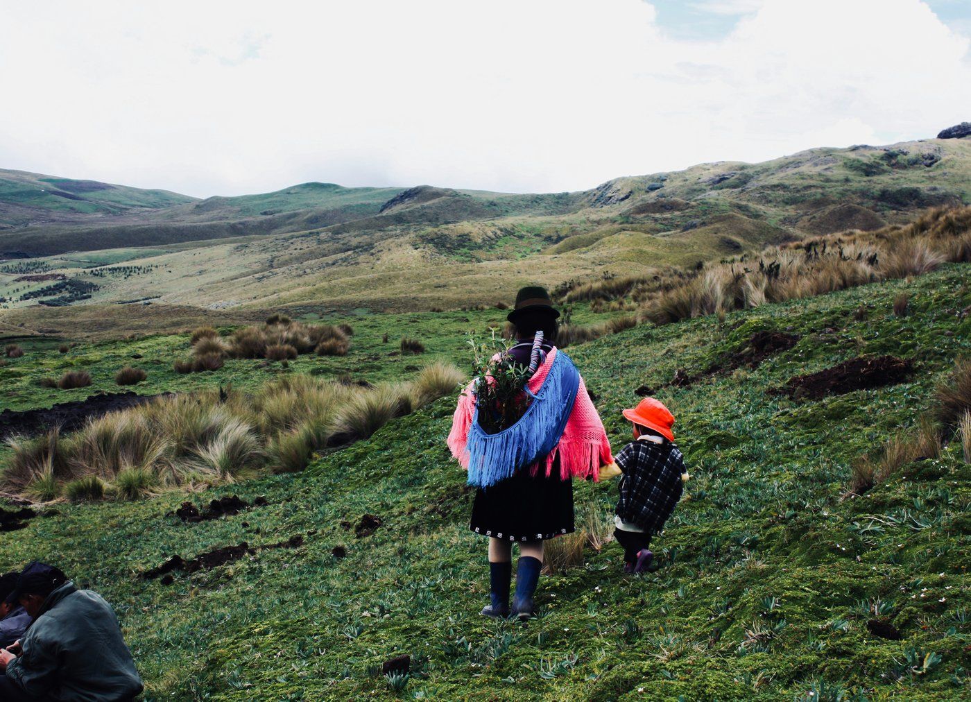 Ecuador is one of several nations which have a right to a healthy environment in its constitution. It recognises the right of nature itself (Pacha Mama) to ‘integral respect for its existence and for the maintenance and regeneration of its life cycles, structure, functions and evolutionary processes’. (Photo: Unsplash)